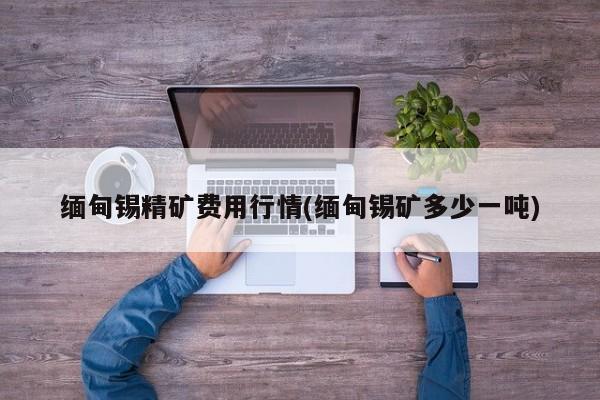 缅甸锡精矿费用行情(缅甸锡矿多少一吨)