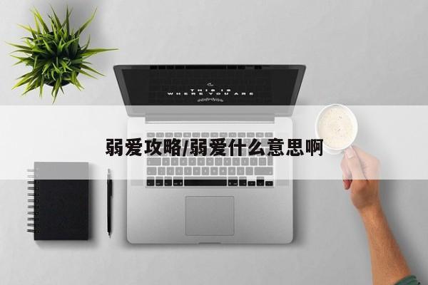 弱爱攻略/弱爱什么意思啊