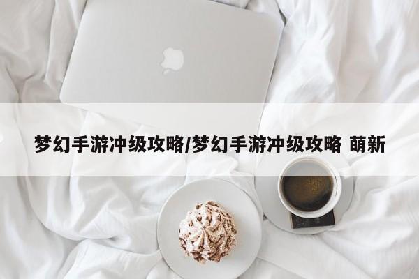 梦幻手游冲级攻略/梦幻手游冲级攻略 萌新