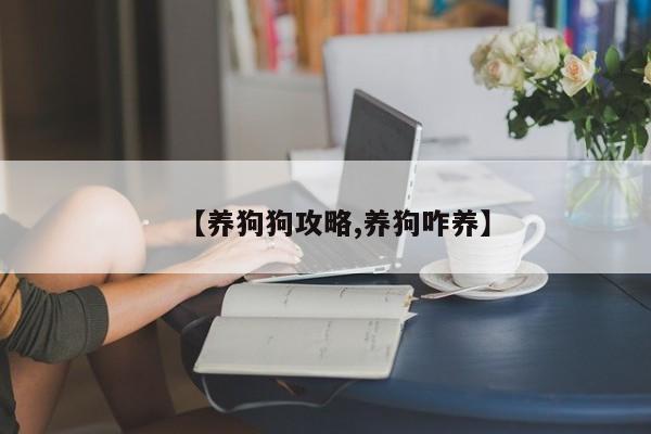【养狗狗攻略,养狗咋养】