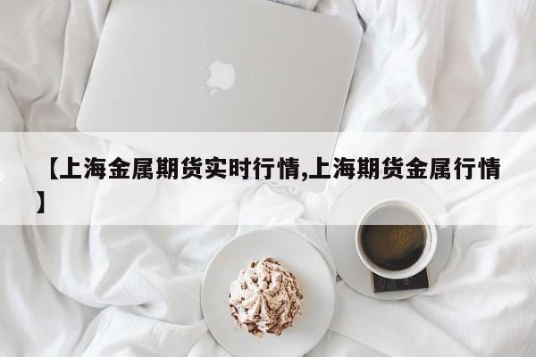 【上海金属期货实时行情,上海期货金属行情】