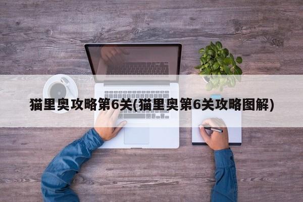 猫里奥攻略第6关(猫里奥第6关攻略图解)
