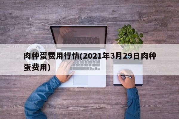 肉种蛋费用行情(2021年3月29日肉种蛋费用)