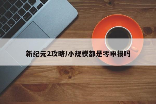 新纪元2攻略/小规模都是零申报吗