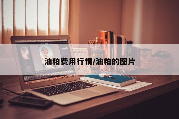 油粕费用行情/油粕的图片