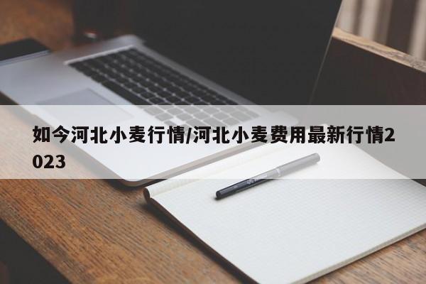 如今河北小麦行情/河北小麦费用最新行情2023