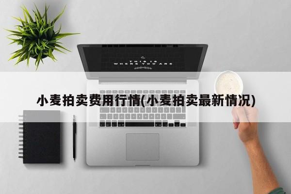 小麦拍卖费用行情(小麦拍卖最新情况)