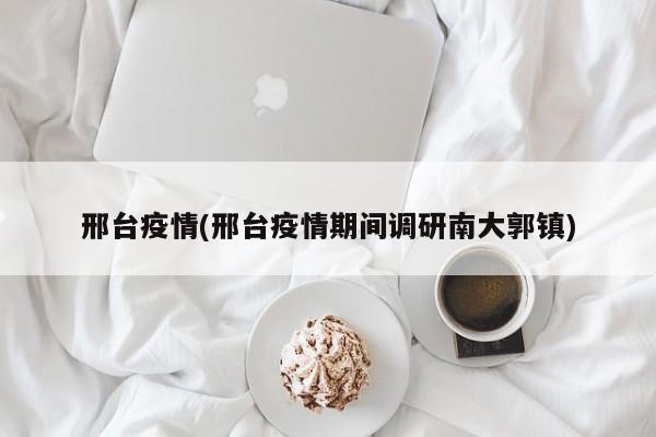 邢台疫情(邢台疫情期间调研南大郭镇)