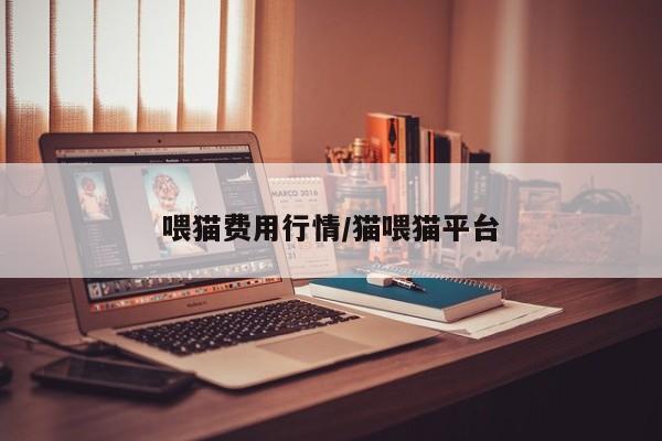 喂猫费用行情/猫喂猫平台