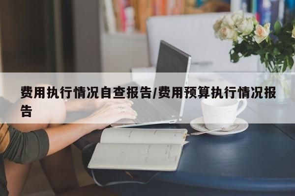 费用执行情况自查报告/费用预算执行情况报告