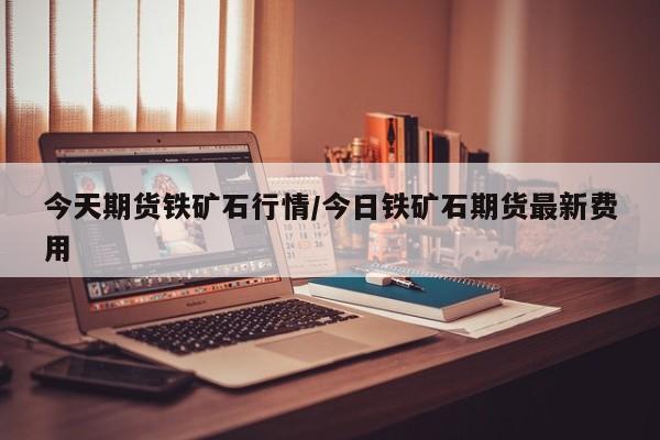 今天期货铁矿石行情/今日铁矿石期货最新费用
