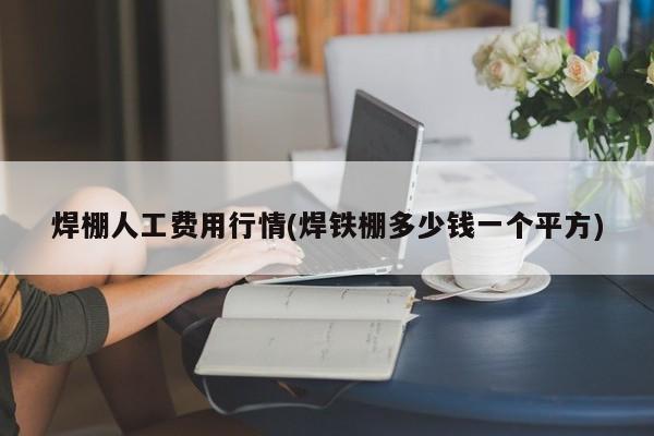 焊棚人工费用行情(焊铁棚多少钱一个平方)