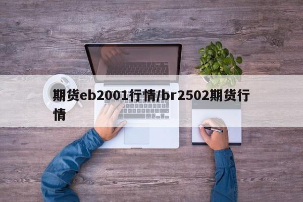 期货eb2001行情/br2502期货行情