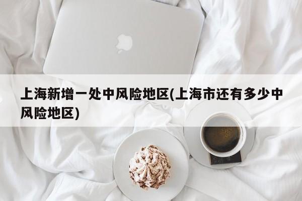 上海新增一处中风险地区(上海市还有多少中风险地区)
