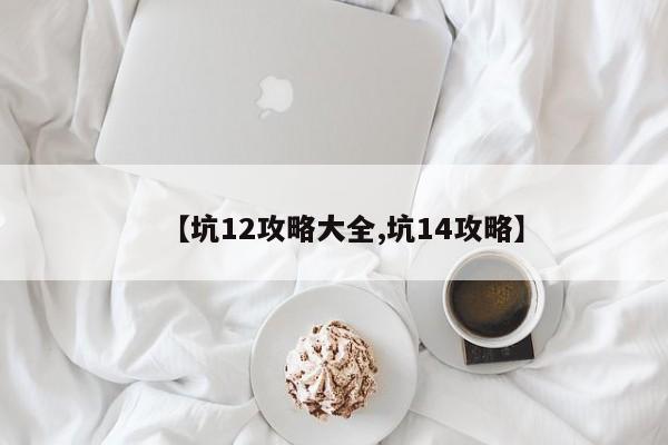 【坑12攻略大全,坑14攻略】
