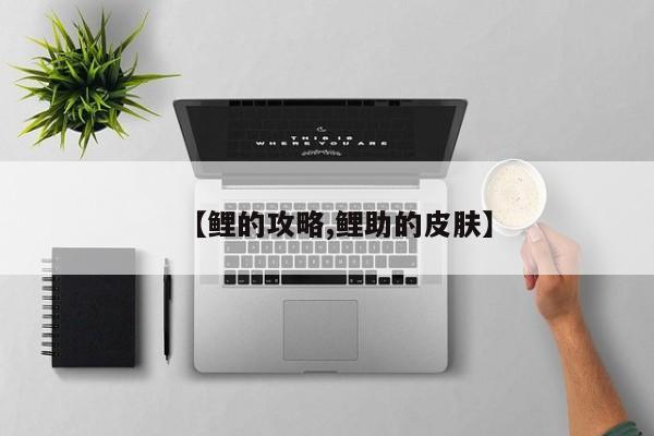 【鲤的攻略,鲤助的皮肤】