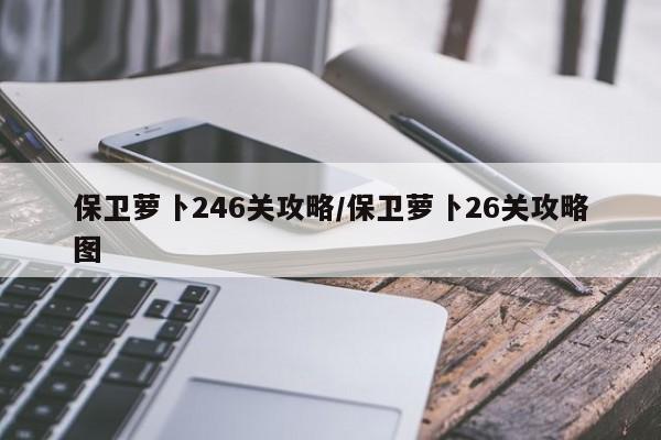 保卫萝卜246关攻略/保卫萝卜26关攻略图