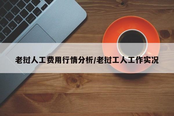 老挝人工费用行情分析/老挝工人工作实况