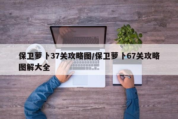 保卫萝卜37关攻略图/保卫萝卜67关攻略图解大全