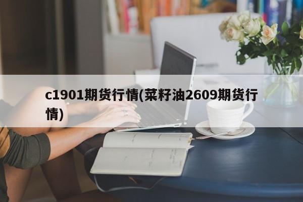 c1901期货行情(菜籽油2609期货行情)