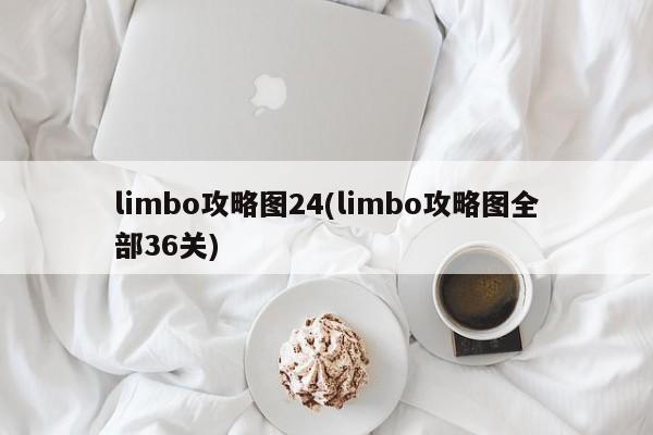 limbo攻略图24(limbo攻略图全部36关)